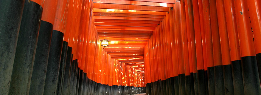 Fushimi Inari torii gates used for a Kyoto and Nara culture walk